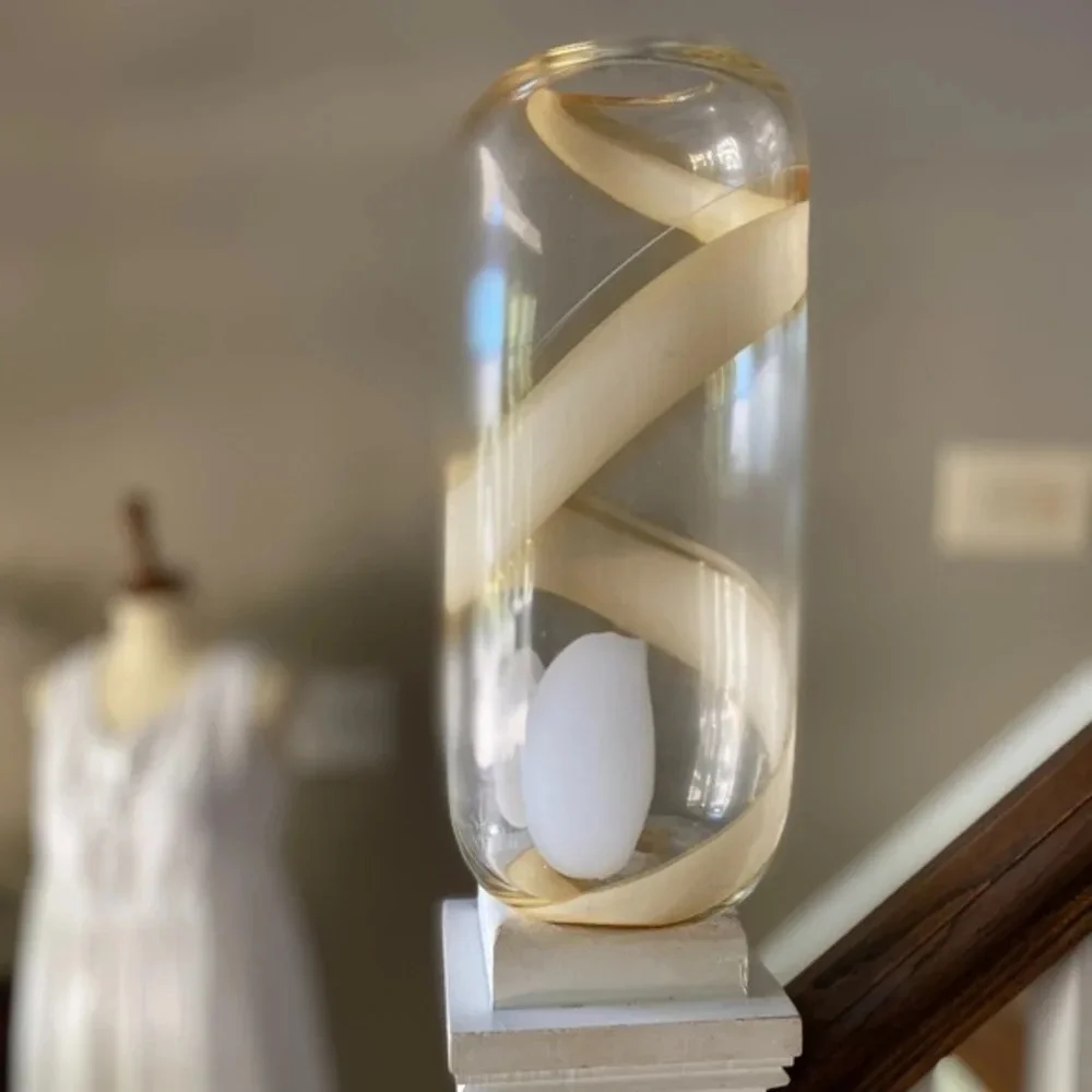 Anthropologie Rounded Glass Vase